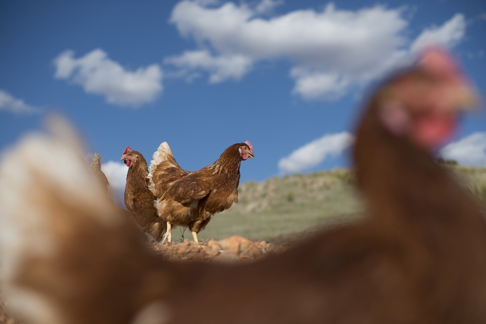 5ef1e55140560129b2df5158 16052018 FRL